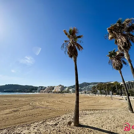 Lägenhet 16 Oropesa del Mar